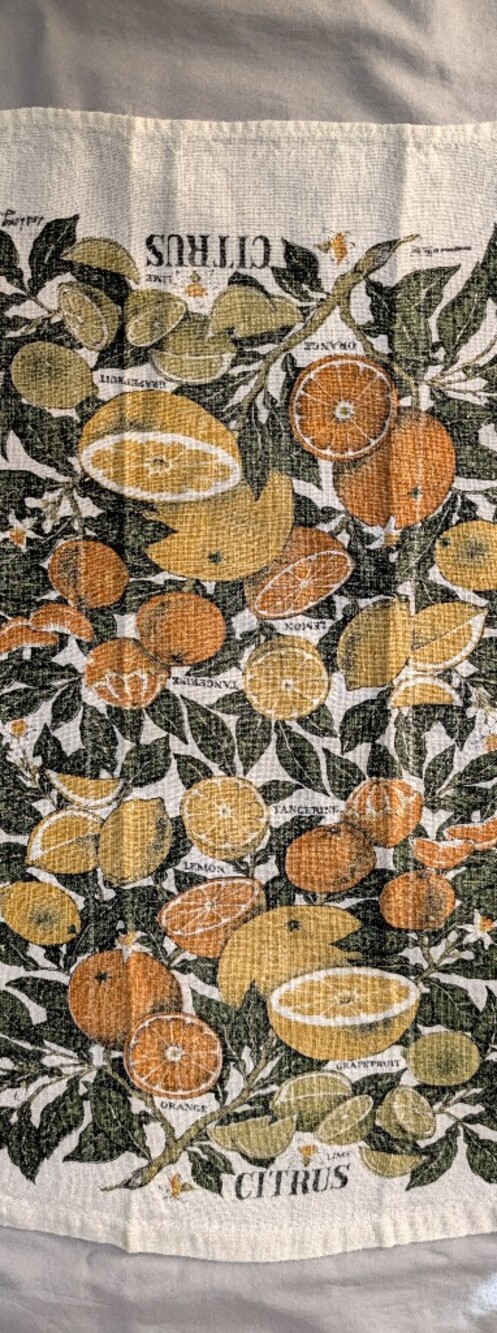 Vintage Lois Long Citrus Botanical Linen Tea Towel Farmhouse Mid Century